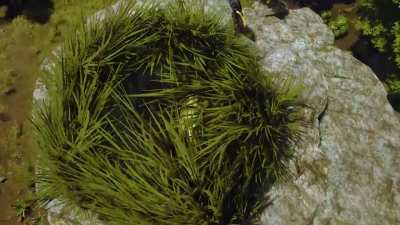 If you want it you can get it!