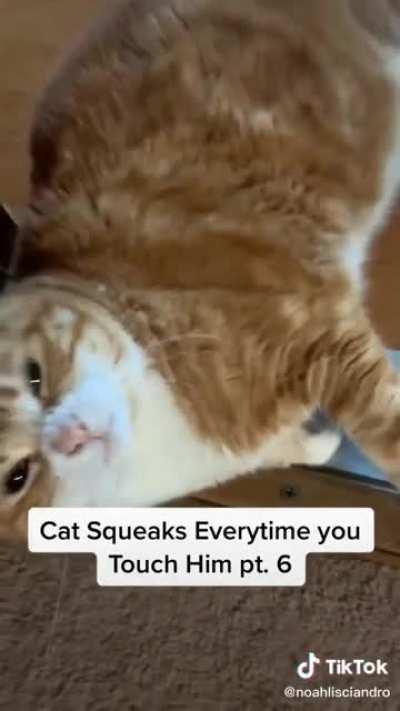 Squeaky toy! (Not my video)