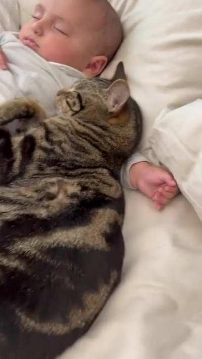 He is keeping the baby warm 😍