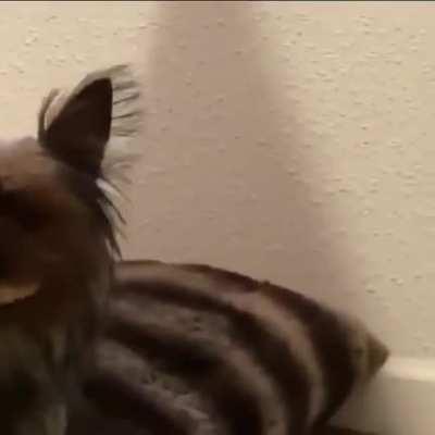 My dad sent this to me...enjoy...