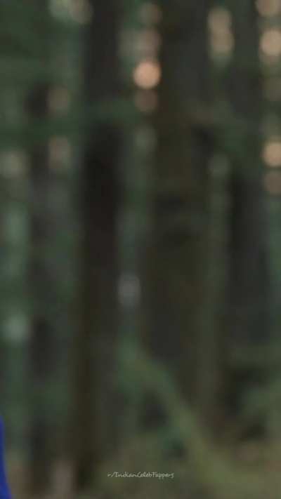 Kriti Sanon's kissing scenes in the movie 