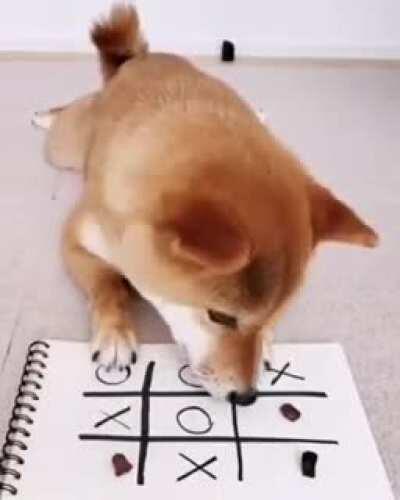 He was so close to the wrong one!