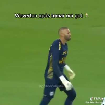Goleiro Weverton já se adaptou em seu novo clube