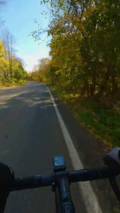 Most people’s fixed gear content is all hectic and traffic. I live in the country. This is how I ride. 🤙🤙