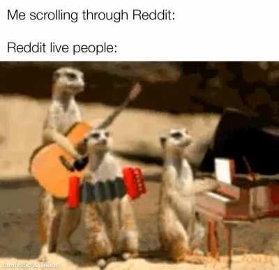 They do be groovin