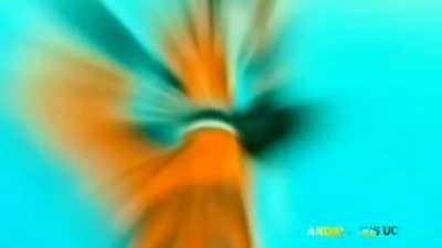 True Friendship 💯