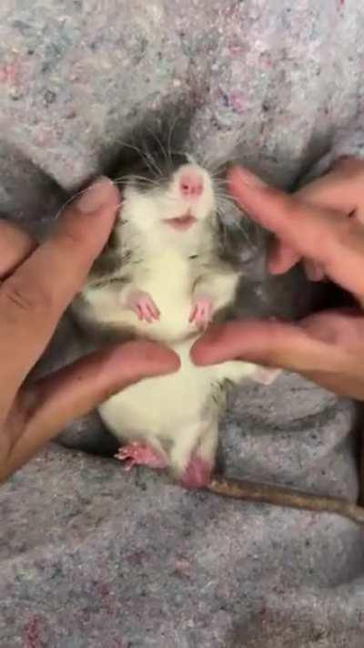 I can’t handle this guy ; )