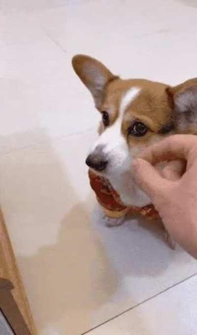 Fool me once, shame on me....