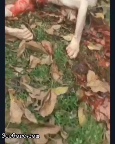 Extremely graphic! Severed head still tries to breath