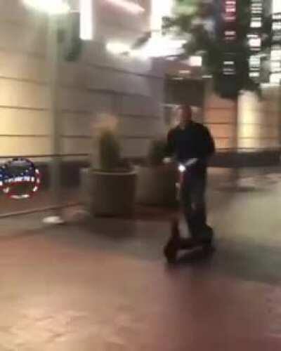 So never get distracted while driving.