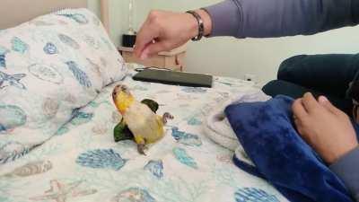 All the partying has finally gotten to her!