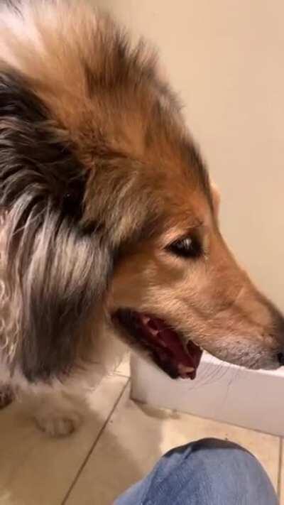 Off her face from being under anaesthetic. Had a lot to lower case yell about