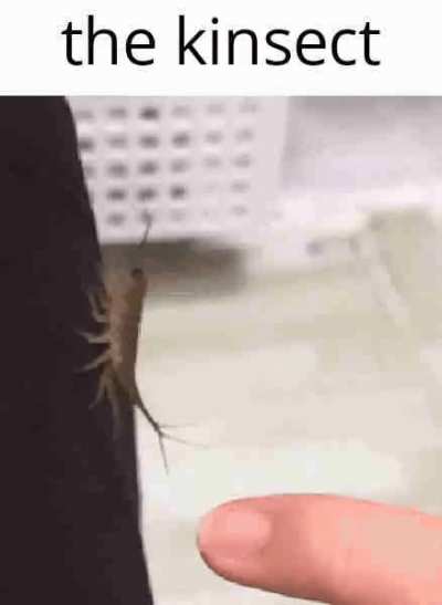 I love my little bug