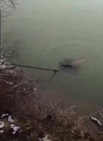 Everything that could have gone wrong, went wrong.