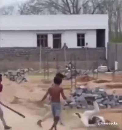 Found this and now im forcing you'll to see it