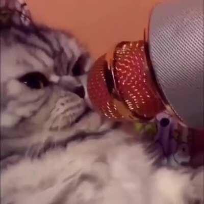 Spittin Straight Fire 🔥