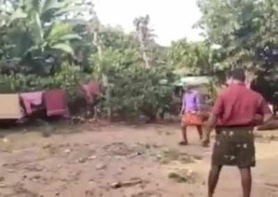 Elephant playing cricket in Kerala.