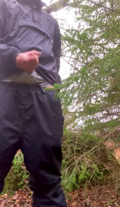 If you go down in the woods today, you’re sure of a big surprise! 💦🌲