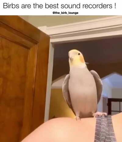 And the Oscar goes to...