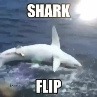 Olhe até o final cArAiO