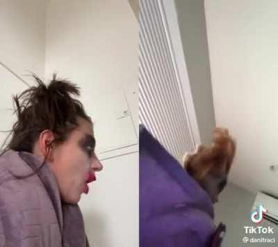 Jasper the Doll has possessed my entire feed, and the duets are 🔥