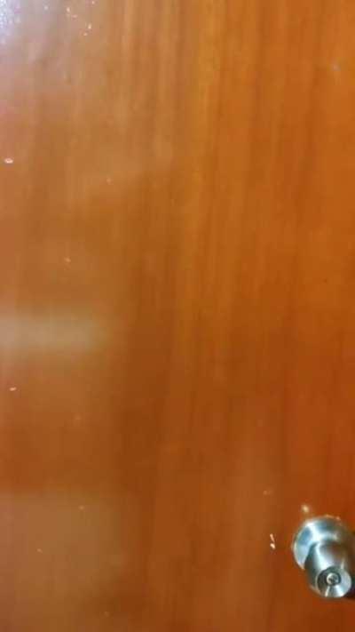 Si Juan Escutia se lanzó por nosotros envuelto en la bandera... Yo hago esto por uds. Hoy buscaré posada en otro lado....[OC]