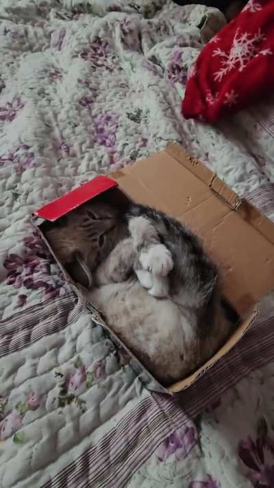 Was told this sub is where it should go