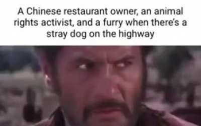 I'm 15 and this is yeet