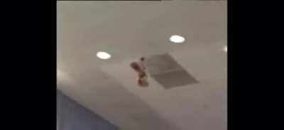 Flying dildo makes guy at Russian press angry