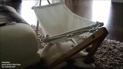 Котэ учится пользоваться гамаком