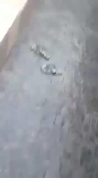 He stuck the landing