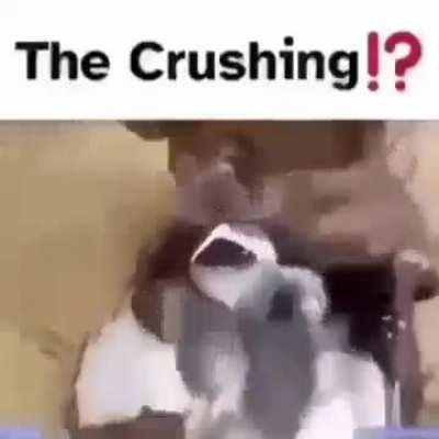 The crushing 🧐🧐🧐