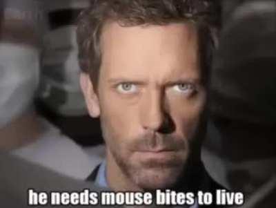 My favorite episode of house 