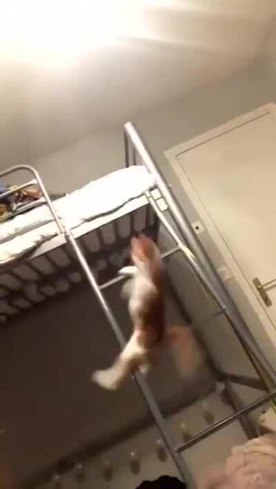 To climb down this ladder