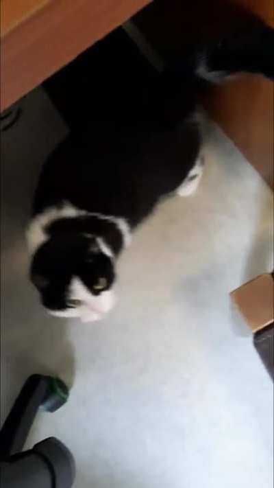 I think this belongs here xD