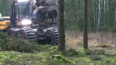 This logging machine takes only about 25 seconds to process a tree