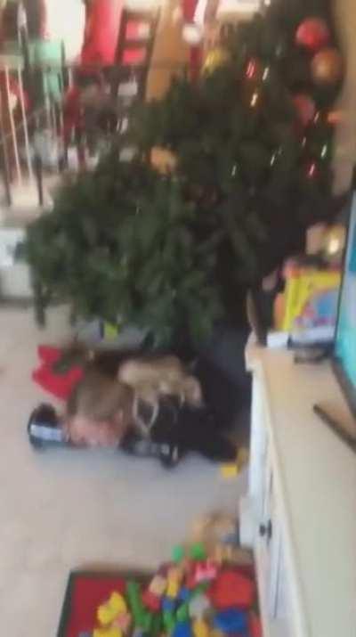 Trying to do a hand stand on a hoverboard