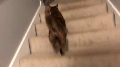 This is our nightly routine