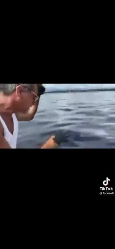 Massive oil spill being hidden