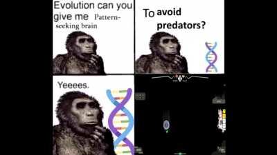 Peak of human evolution