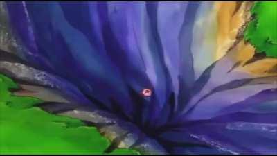 C O N C H E T U M A R EVerse