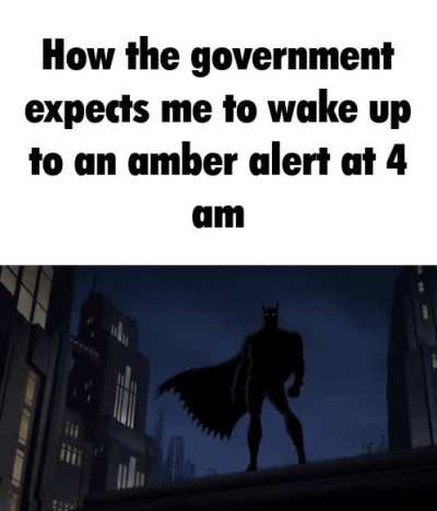 I understand why they exist and they absolutely should but they are a bit annoying at times