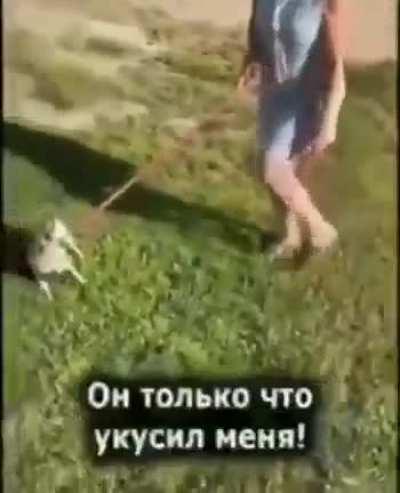 Потрясающая актёрская игра