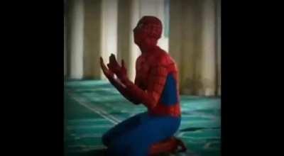 Tera Bhai premiere pro Sikar Gaya