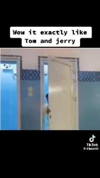 A perfectly cut Tom scream is always good (even when it's just an impression)