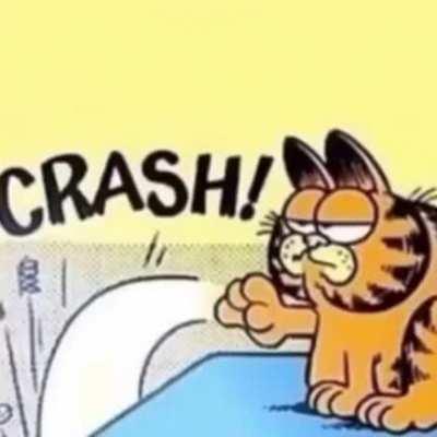 garfield NOOOOOO
