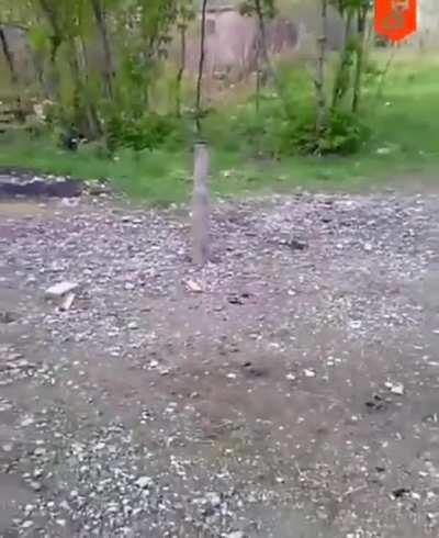 What the fuck was he expecting?