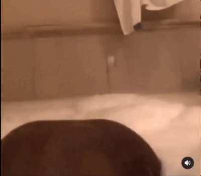 Was asked to make this gif