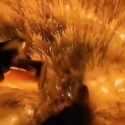 When scorch gets his flame Core