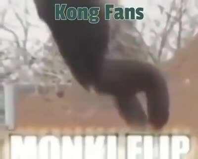 Big monke will beat dum lizard any day of the week